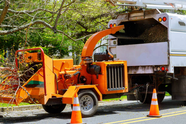 Reliable Oklahoma, PA Tree Removal and Landscaping Services Solutions